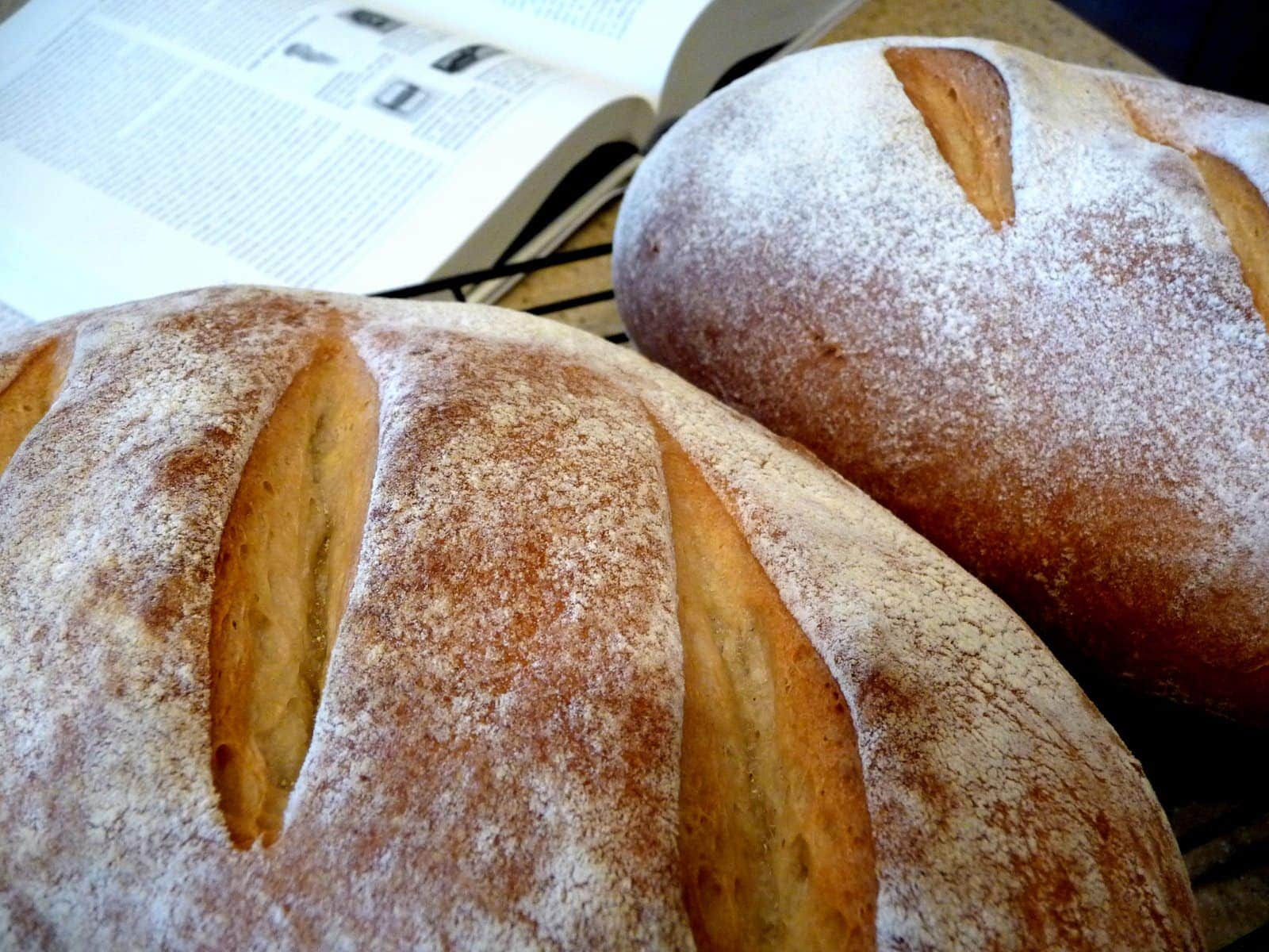 Rustic White Bread Good Life Eats   Rustic White Bread 1 