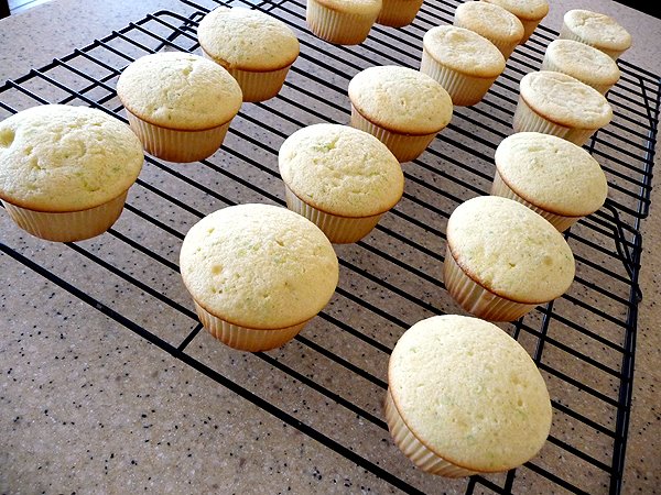 cupcakes cooling on a wire rack