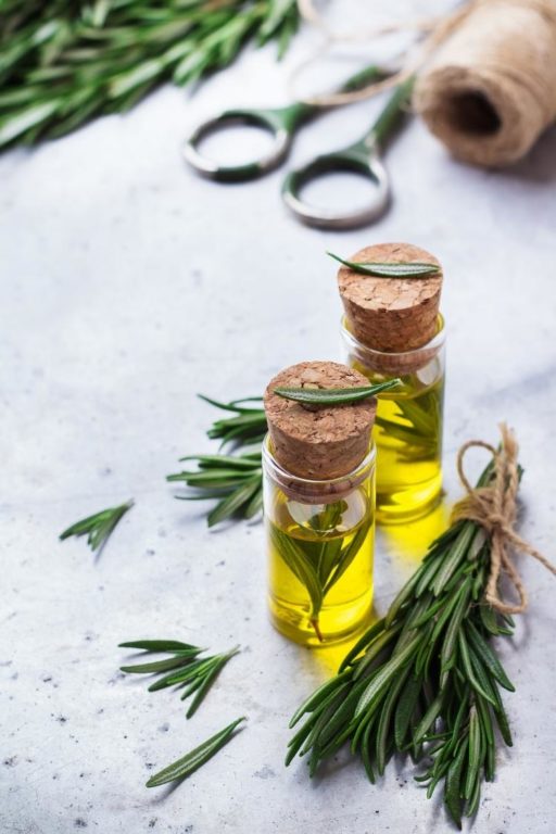 How to Use Rosemary Hair Oil For Growth: Recipe for Rosemary Hot Oil ...