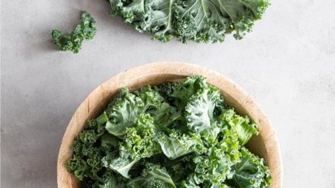 The Best Way to Preserve Kale to Eat All Year Round