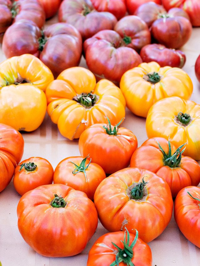 photo of garden tomatoes for a how to freeze tomatoes tutorial