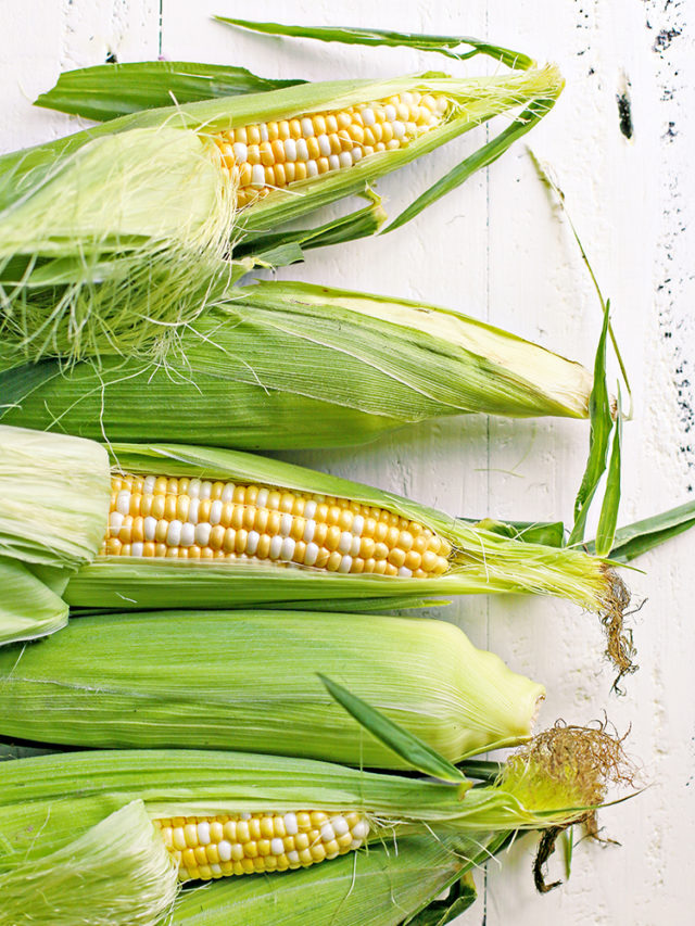 cropped-How-to-Freeze-Corn-on-the-Cob.jpg