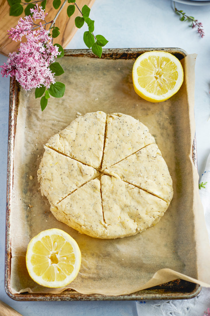 unbaked lemon poppyseed scones on a baking sheet