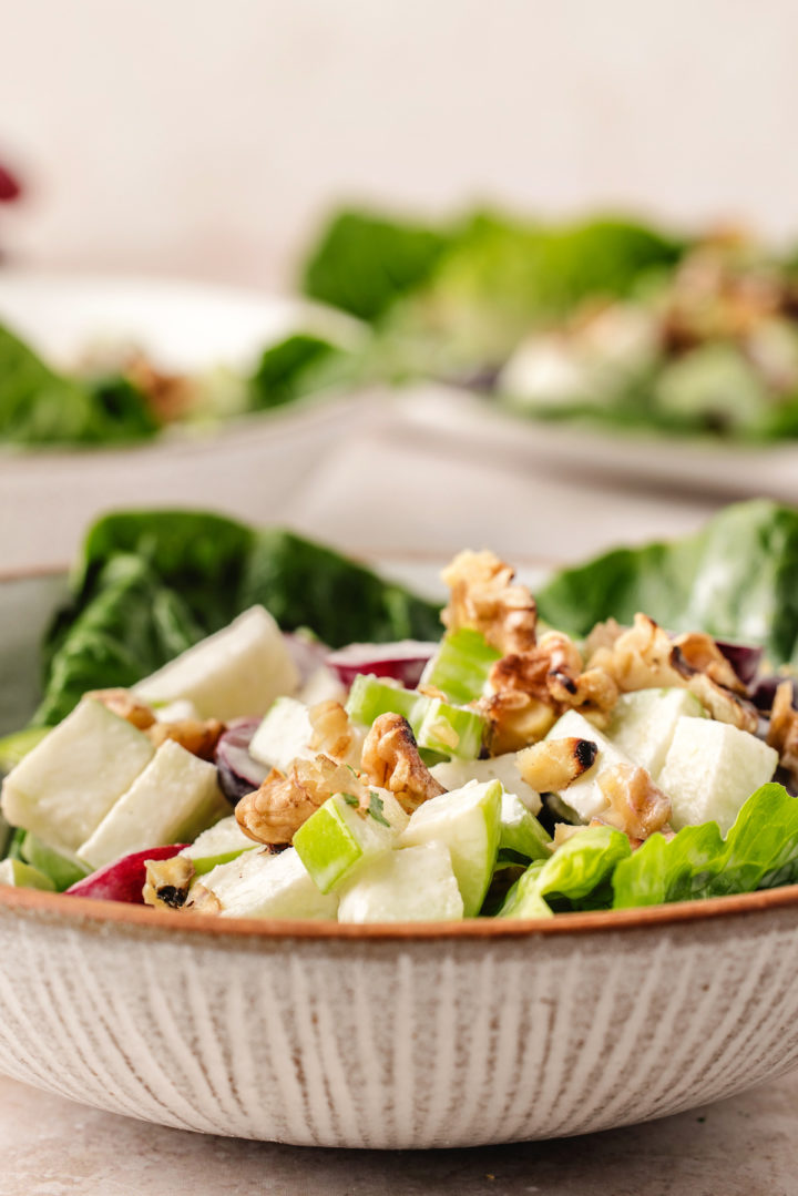 a bowl of classic waldorf salad