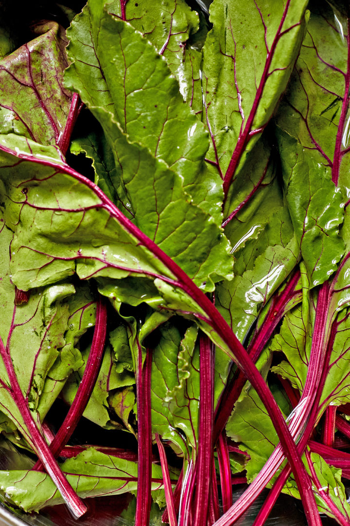 close up of beet greens leaves