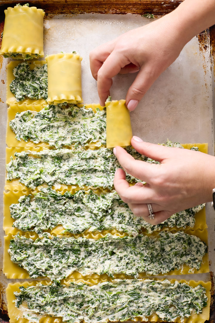 A baking sheet lined with cooked lasagna noodles spread with a creamy ricotta spinach filling, as a woman demonstrates rolling the noodles into roll up lasagna